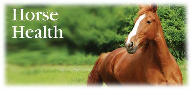 Horse Health - An Ounce Of Prevention Is Worth A Pound Of Cure